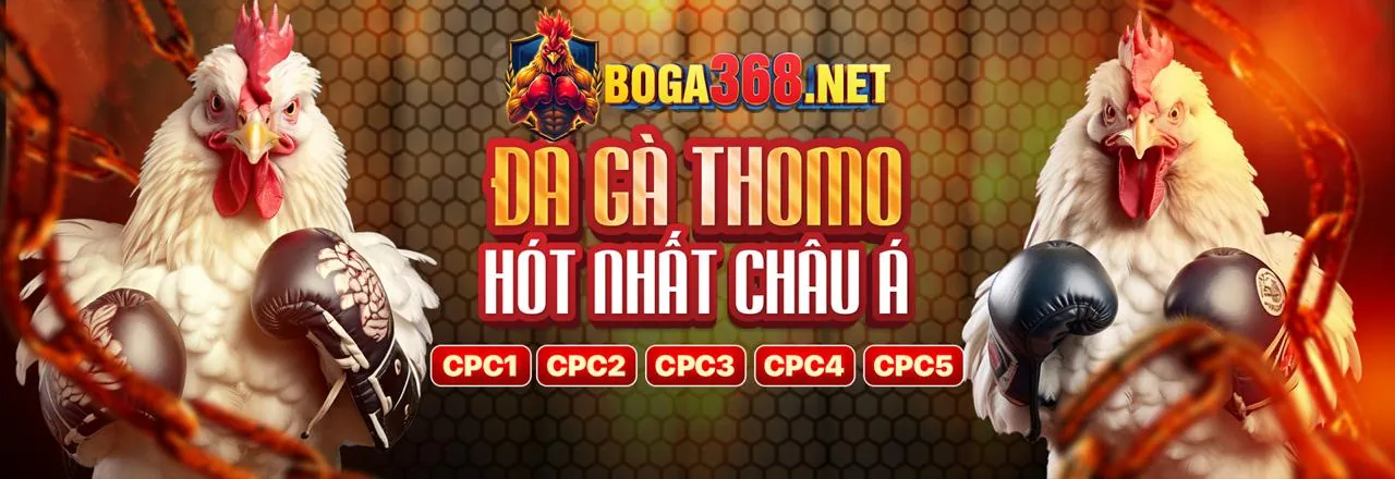 Các Cấp Độ VIP và Lợi Ích Tương Ứng